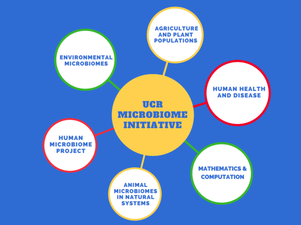 microbiome graph