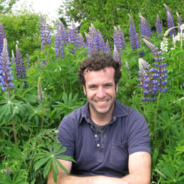 Joel Sachs